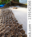 Close up view of a transparent plastic honeycomb grid partially filled with dark brown soil in a gardening setting 139142366