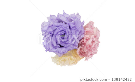 Lisianthus bouquet, transparent background, macro, flower material Lisianthus bouquet, transparent background, macro, flower material 139142452