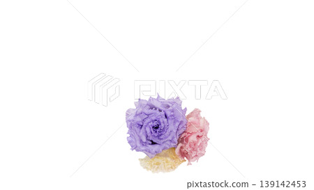 洋桔梗花束，透明背景，微距，花卉素材 139142453