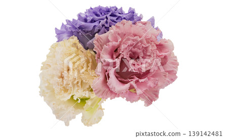 Lisianthus bouquet, transparent background, macro, flower material Lisianthus bouquet, transparent background, macro, flower material 139142481