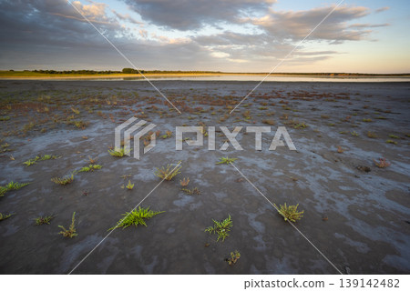 Desert soil in a dry lagoon, La Pampa province, Patagonia, Argentina. Desert soil in a dry lagoon, La Pampa province, Patagonia, Argentina. 139142482