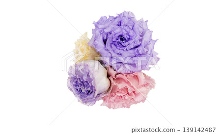 Four lisianthus flowers in purple, pink, and white. Macro photography of the flowers. Transparent background. Flower material. Four lisianthus flowers in purple, pink, and white. Macro photography of the flowers. Transparent background. Flower material. 139142487