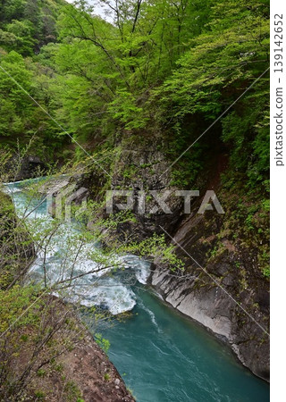 A valley that shines in the fresh green A valley that shines in the fresh green 139142652