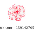 Cutout of a fresh pink carnation (vector) 139142705