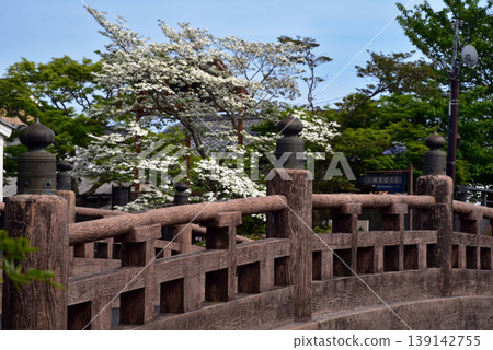 近江八幡八幡堀明治大橋 近江八幡八幡堀明治大橋 139142755