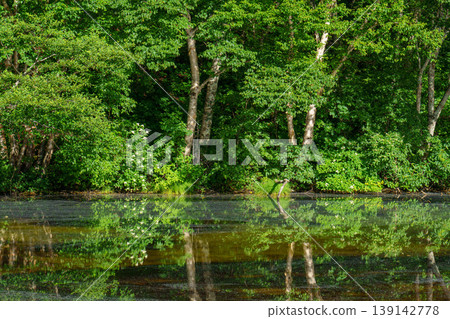 A tranquil scene with the fresh green forest reflected on the water's surface. A tranquil scene with the fresh green forest reflected on the water's surface. 139142778