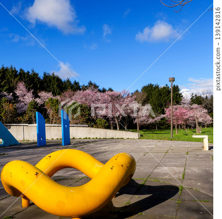 Cherry blossoms and playground equipment at Moerenuma Park in Sapporo City Cherry blossoms and playground equipment at Moerenuma Park in Sapporo City 139142816