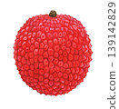 Lychee illustration 139142829