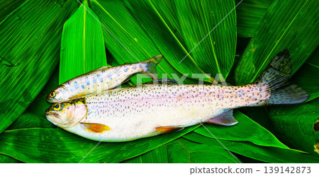 北海道溪流釣魚:虹鱒、櫻鱒 北海道溪流釣魚:虹鱒、櫻鱒 139142873