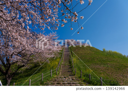 Sakura Sakitakuma Kumu Park Sakura Sakitakuma Kumu Park 139142966