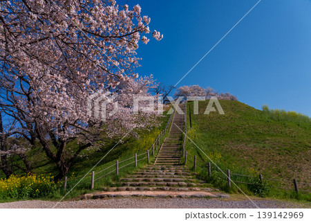 Sakura Sakitakuma Kumu Park Sakura Sakitakuma Kumu Park 139142969