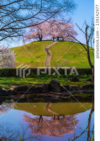 Sakura Sakitakuma Kumu Park Sakura Sakitakuma Kumu Park 139142977