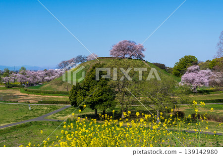 Sakura Sakitakuma Kumu Park Sakura Sakitakuma Kumu Park 139142980