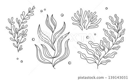 Line art illustration of various aquatic plants and seaweed on a white background Line art illustration of various aquatic plants and seaweed on a white background 139143031
