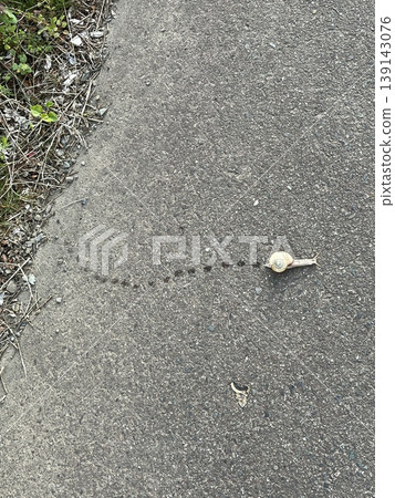 Snail walking Snail walking 139143076