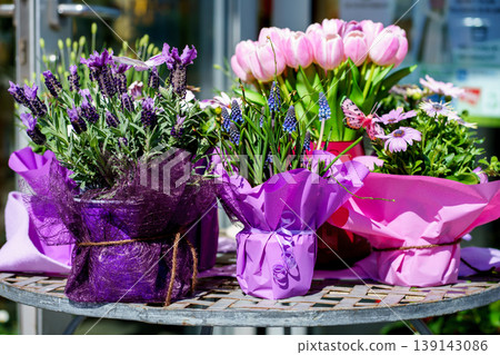 Bright spring bouquets featuring Tulipa gesneriana, Lavandula angustifolia, Muscari armeniacum, Bellis perennis in decorative wrapping, floral display 139143086
