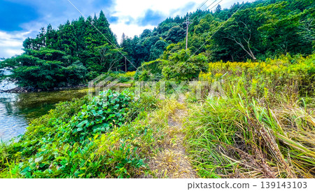 一條沿著琵琶湖岸邊的自然風光優美的步道 一條沿著琵琶湖岸邊的自然風光優美的步道 139143103