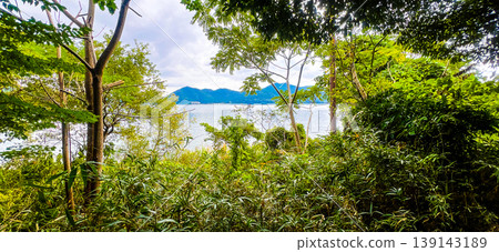 透過樹木的縫隙可以看到琵琶湖和對岸的山脈:滋賀縣近江八幡市沖島的景色。 透過樹木的縫隙可以看到琵琶湖和對岸的山脈:滋賀縣近江八幡市沖島的景色。 139143189