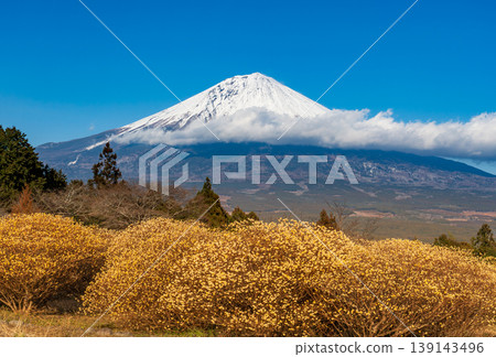 從白絲自然公園眺望三椏與富士山 139143496
