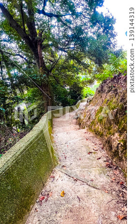 Okishima Hiking Course - Mountain Path Along Stone Walls 139144319