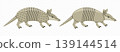 Armadillo, dasypus novemcinctus, graphic design. Nine-banded armadillo, animal, wildlife and nature, vector design and illustration 139144514