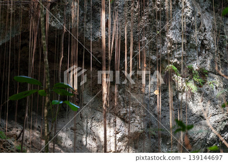 Los Tres Ojos park view. Rocky landscape with lianes Los Tres Ojos park view. Rocky landscape with lianes 139144697