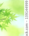 藍楓 139144999