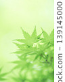 藍楓 139145000