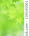 藍楓 139145001