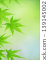 藍楓 139145002