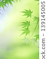 藍楓 139145005