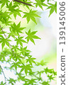 藍楓 139145006