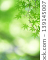 藍楓 139145007