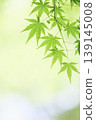 藍楓 139145008