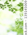 藍楓 139145009
