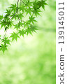 藍楓 139145011