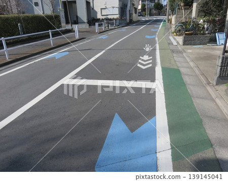 Bicycle exclusive lane Bicycle exclusive lane 139145041