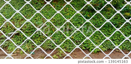 White iron fence with diamond pattern White iron fence with diamond pattern 139145163
