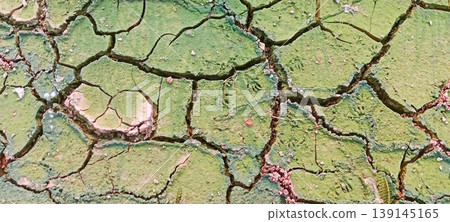 Cracked mossy green dry soil texture Cracked mossy green dry soil texture 139145165