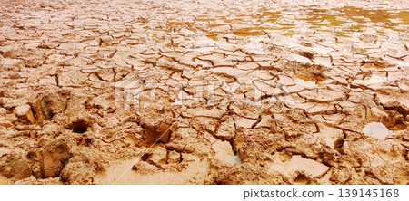 Cracked dry mud texture with shallow puddles of water in the cracks Cracked dry mud texture with shallow puddles of water in the cracks 139145168