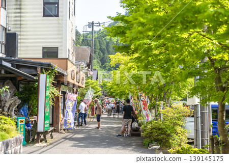 The Mizunosato shopping street and the lush green promenade at Miyagase Lakeside Park 139145175