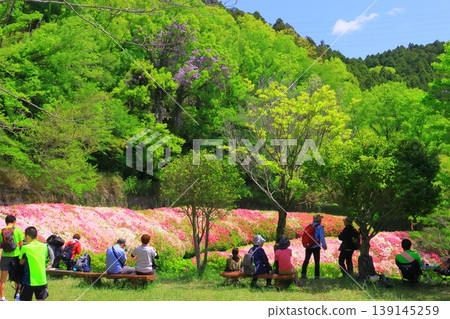 鳴川公園杜鵑花園（大阪府東大阪市） 139145259