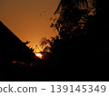 Beautiful sunset against the light with the silhouette of trees and Birds flying. 139145349