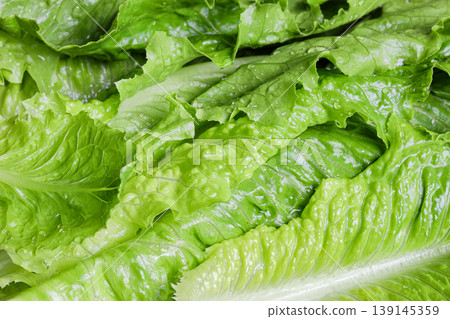 green lettuce vegetable or Romano salad background. 139145359