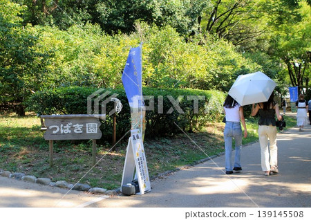 Nagai Botanical Garden Camellia Garden 139145508