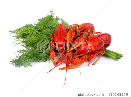 Three boiled red crayfish with fresh dill isolated on white background. Freshwater lobster or crawfish. Three boiled red crayfish with fresh dill isolated on white background. Freshwater lobster or crawfish. 139145529