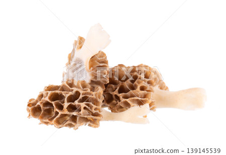 Morel mushroom isolated on white background. Morchella esculenta. Spring edible fungi. Clipping path. Morel mushroom isolated on white background. Morchella esculenta. Spring edible fungi. Clipping path. 139145539