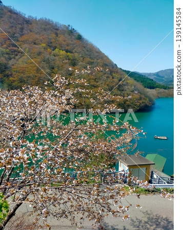 Springtime scenery at Naruko Dam Springtime scenery at Naruko Dam 139145584