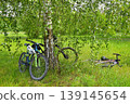 Bicycles under birch tree 139145654