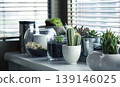 green plant in flower pot on window sill 139146025